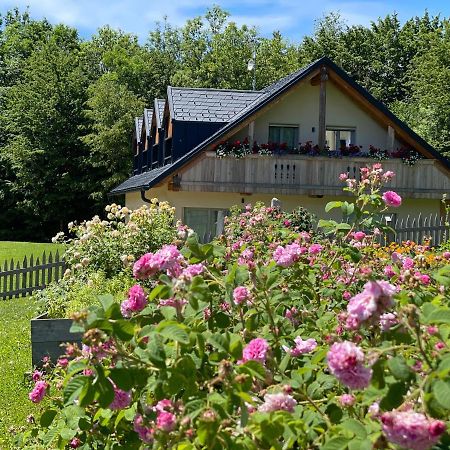 Loft Naturalpina Dolomiti Farm Belluno Bagian luar foto