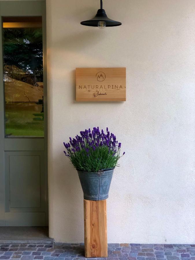 Loft Naturalpina Dolomiti Farm Belluno Bagian luar foto