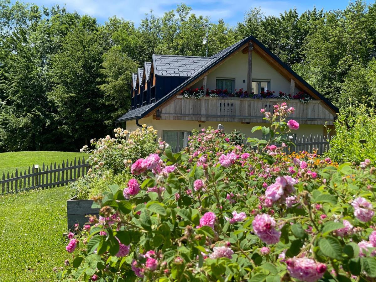 Loft Naturalpina Dolomiti Farm Belluno Bagian luar foto